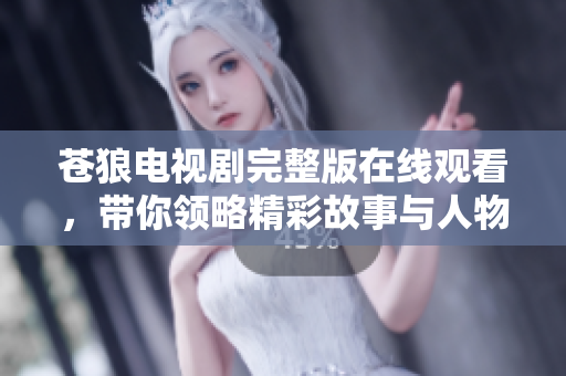 苍狼电视剧完整版在线观看，带你领略精彩故事与人物发展
