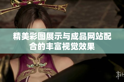 精美彩图展示与成品网站配合的丰富视觉效果
