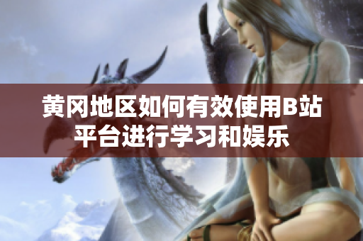 黄冈地区如何有效使用B站平台进行学习和娱乐