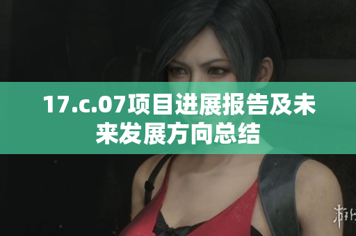 17.c.07项目进展报告及未来发展方向总结