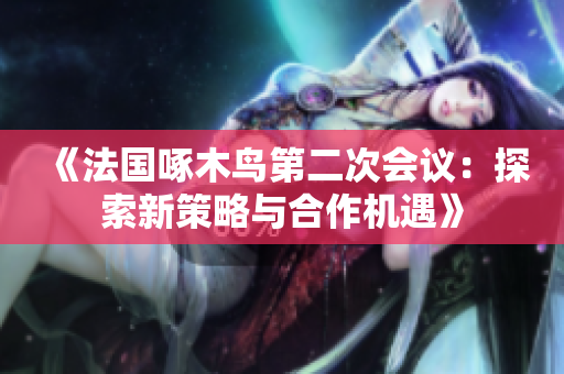 《法国啄木鸟第二次会议：探索新策略与合作机遇》