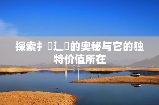 探索扌喿辶畐的奥秘与它的独特价值所在