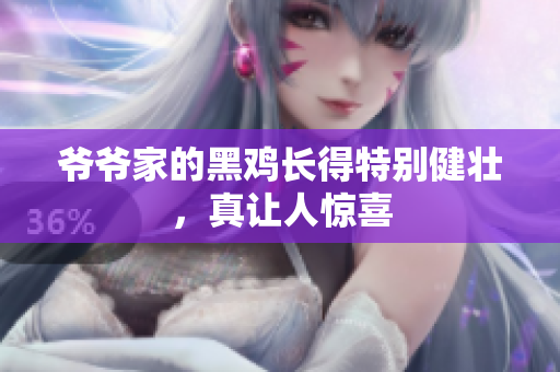 爷爷家的黑鸡长得特别健壮，真让人惊喜