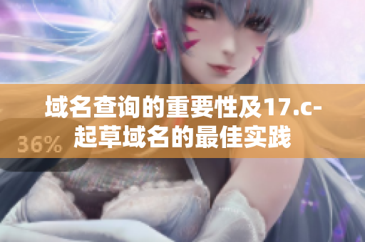 域名查询的重要性及17.c-起草域名的最佳实践