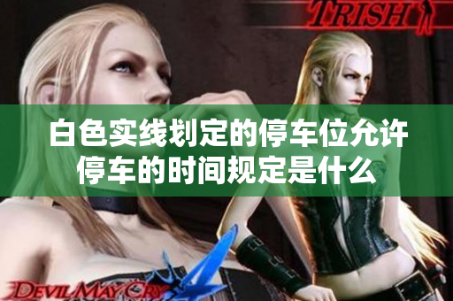 白色实线划定的停车位允许停车的时间规定是什么