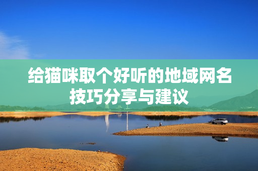 给猫咪取个好听的地域网名技巧分享与建议