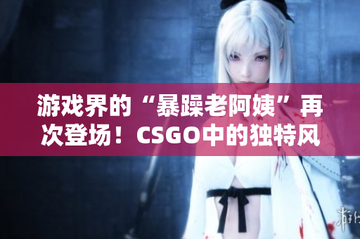 游戏界的“暴躁老阿姨”再次登场！CSGO中的独特风格让人耳目一新