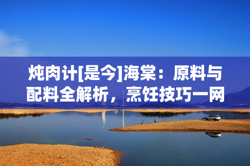 炖肉计[是今]海棠：原料与配料全解析，烹饪技巧一网打尽