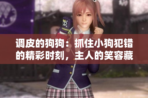 调皮的狗狗：抓住小狗犯错的精彩时刻，主人的笑容藏不住啦！