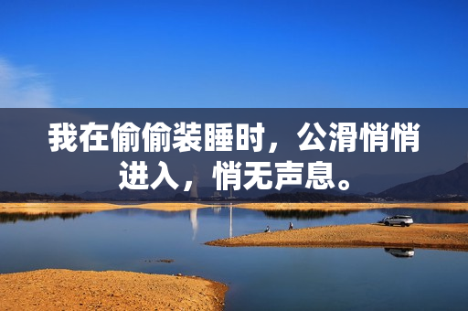 我在偷偷装睡时，公滑悄悄进入，悄无声息。