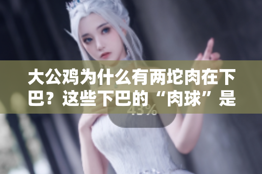 大公鸡为什么有两坨肉在下巴？这些下巴的“肉球”是什么？