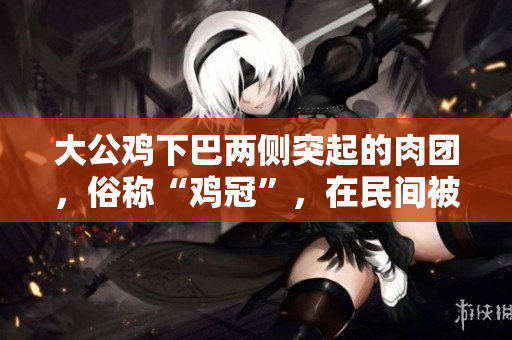 大公鸡下巴两侧突起的肉团，俗称“鸡冠”，在民间被戏称为“公鸡的领带”。