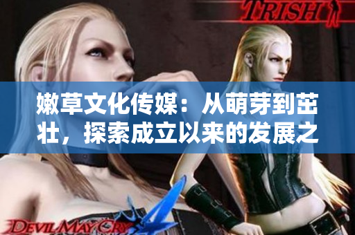 嫩草文化传媒：从萌芽到茁壮，探索成立以来的发展之路