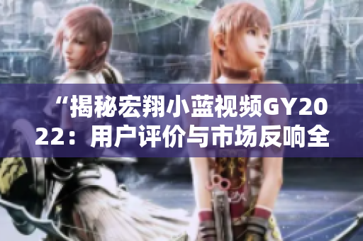 “揭秘宏翔小蓝视频GY2022：用户评价与市场反响全面解析！”