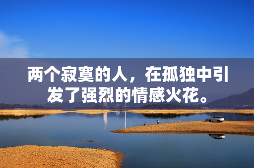 两个寂寞的人，在孤独中引发了强烈的情感火花。