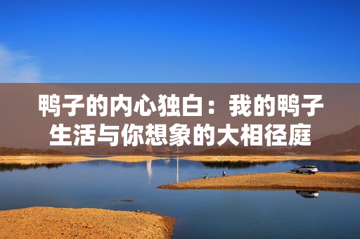 鸭子的内心独白：我的鸭子生活与你想象的大相径庭