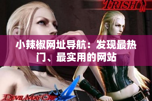 小辣椒网址导航：发现最热门、最实用的网站