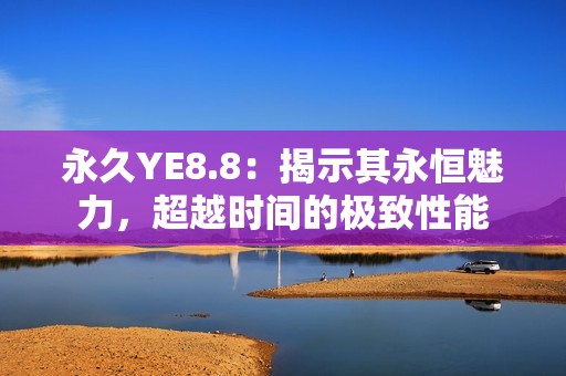 永久YE8.8：揭示其永恒魅力，超越时间的极致性能