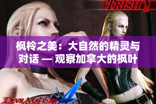 枫柃之美：大自然的精灵与对话 — 观察加拿大的枫叶与中国的柃子