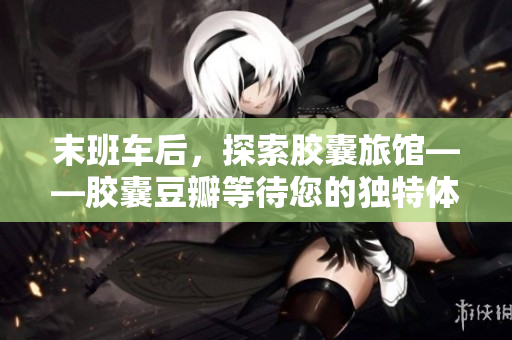 末班车后，探索胶囊旅馆——胶囊豆瓣等待您的独特体验