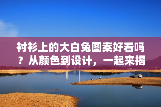衬衫上的大白兔图案好看吗？从颜色到设计，一起来揭秘！