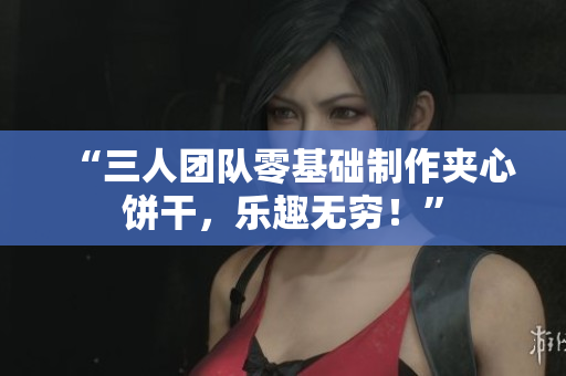 “三人团队零基础制作夹心饼干，乐趣无穷！”