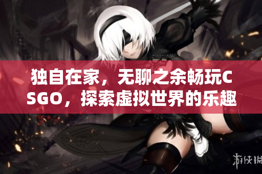 独自在家，无聊之余畅玩CSGO，探索虚拟世界的乐趣