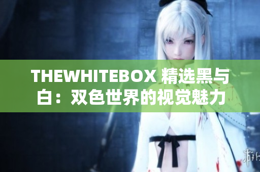 THEWHITEBOX 精选黑与白：双色世界的视觉魅力