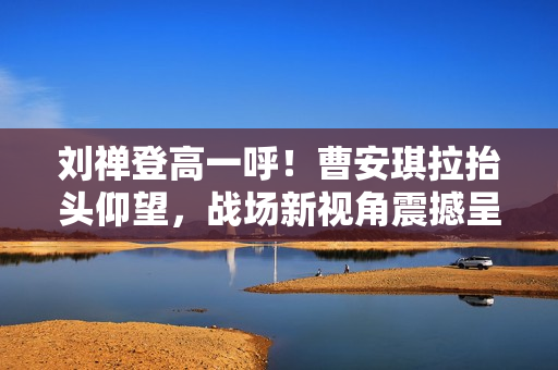 刘禅登高一呼！曹安琪拉抬头仰望，战场新视角震撼呈现