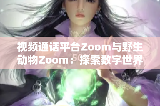 视频通话平台Zoom与野生动物Zoom：探索数字世界中的奇妙对话
