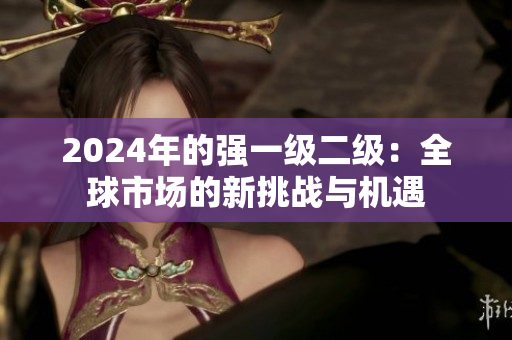 2024年的强一级二级：全球市场的新挑战与机遇