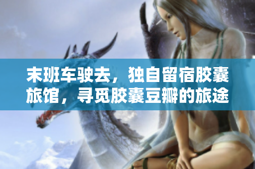 末班车驶去，独自留宿胶囊旅馆，寻觅胶囊豆瓣的旅途体验