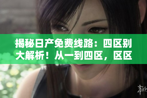 揭秘日产免费线路：四区别大解析！从一到四区，区区不同，区别何在？