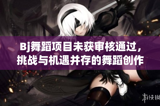 Bj舞蹈项目未获审核通过，挑战与机遇并存的舞蹈创作探索