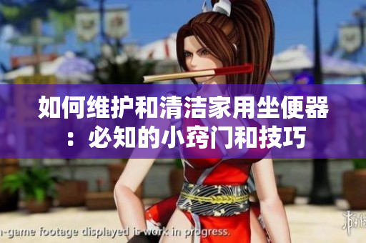 如何维护和清洁家用坐便器：必知的小窍门和技巧