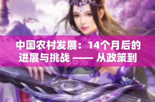 中国农村发展：14个月后的进展与挑战 —— 从政策到实践，探索乡村振兴路径