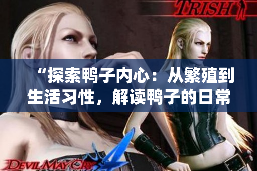 “探索鸭子内心：从繁殖到生活习性，解读鸭子的日常世界”