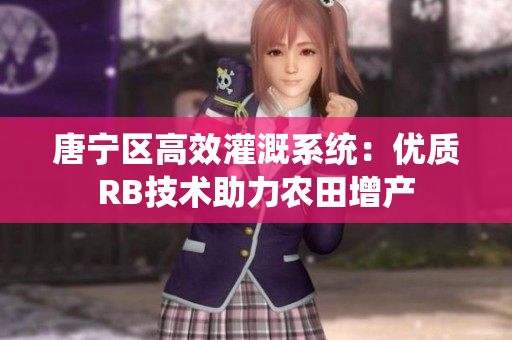 唐宁区高效灌溉系统：优质RB技术助力农田增产