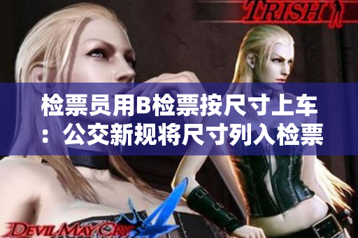 检票员用B检票按尺寸上车：公交新规将尺寸列入检票范围