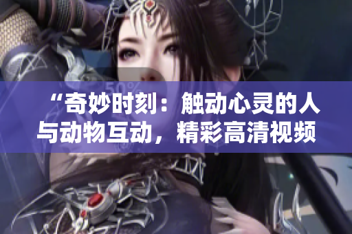“奇妙时刻：触动心灵的人与动物互动，精彩高清视频下载！”