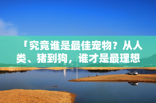 「究竟谁是最佳宠物？从人类、猪到狗，谁才是最理想的伴侣？」