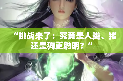 “挑战来了：究竟是人类、猪还是狗更聪明？”