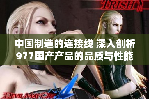 中国制造的连接线 深入剖析977国产产品的品质与性能
