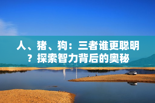 人、猪、狗：三者谁更聪明？探索智力背后的奥秘