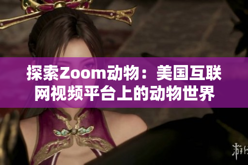 探索Zoom动物：美国互联网视频平台上的动物世界