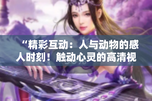 “精彩互动：人与动物的感人时刻！触动心灵的高清视频素材现已提供下载！”