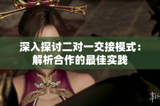 深入探讨二对一交接模式：解析合作的最佳实践