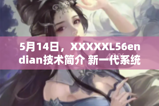 5月14日，XXXXXL56endian技术简介 新一代系统架构的探索