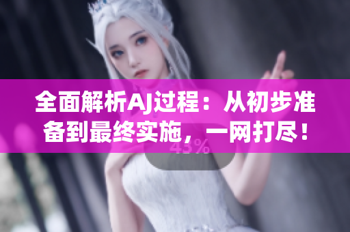 全面解析AJ过程：从初步准备到最终实施，一网打尽！