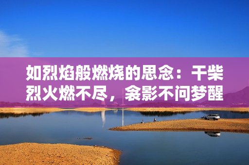 如烈焰般燃烧的思念：干柴烈火燃不尽，衾影不问梦醒时